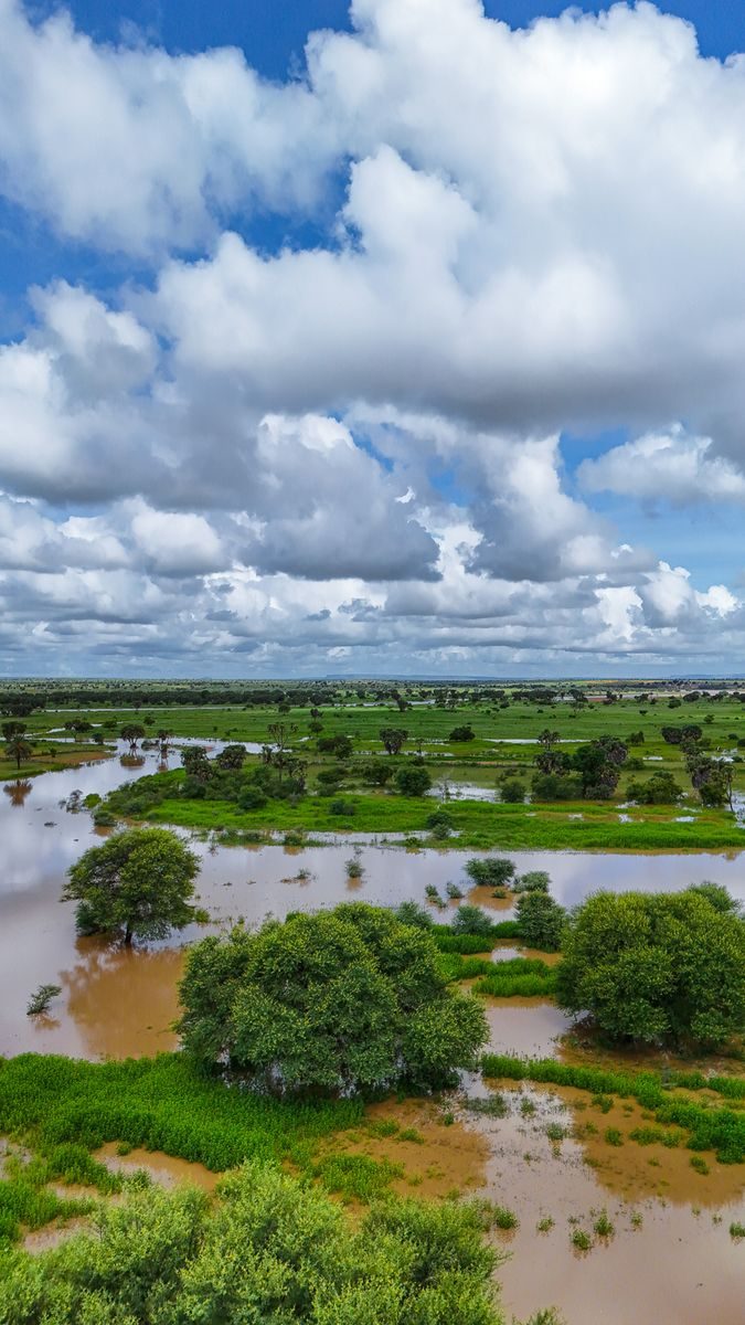 What Environmental, Planning and Flood Reports Reveal