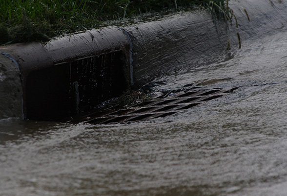 What is a Drainage and Water Search?