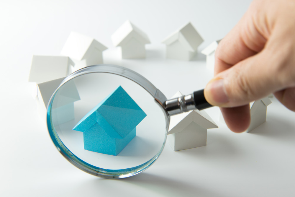 conveyancing searches